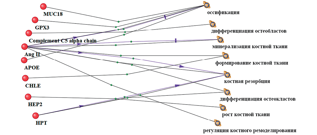 Изображение на обложке