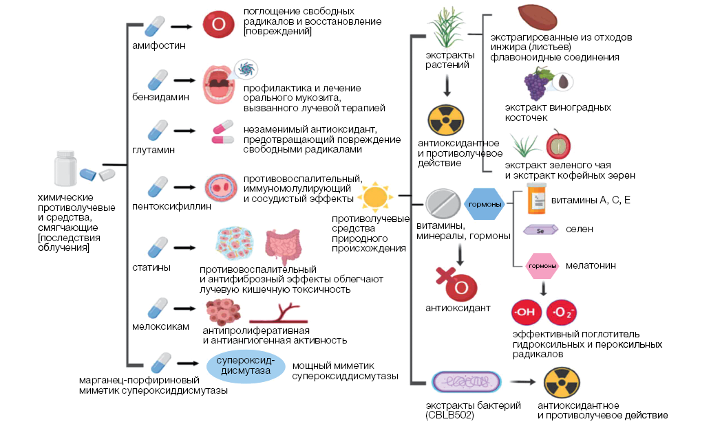 Изображение на обложке