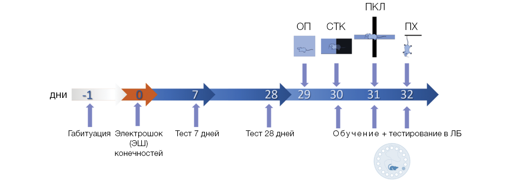 Изображение на обложке