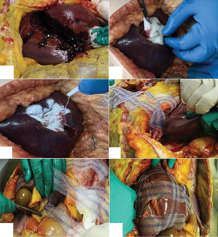 Изображение на обложке