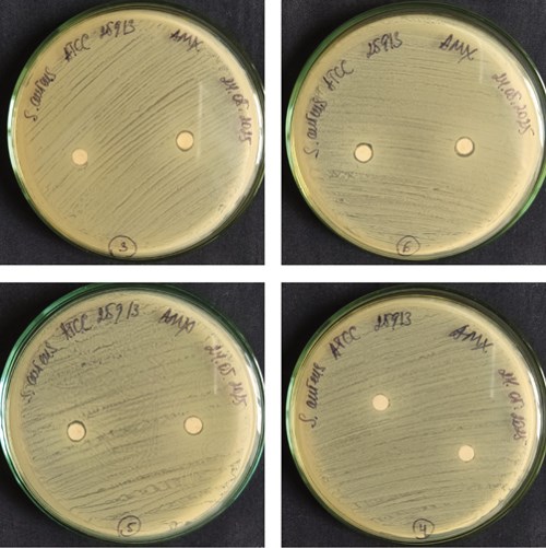 Изображение на обложке