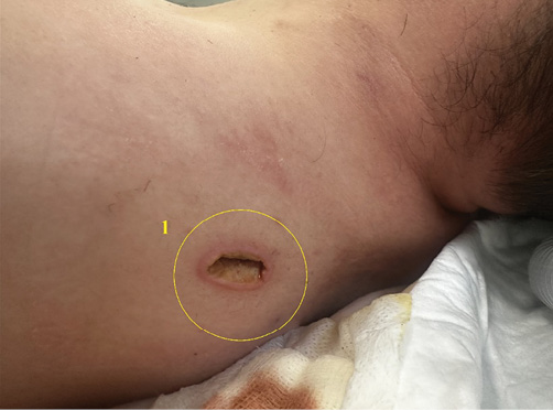 Изображение на обложке