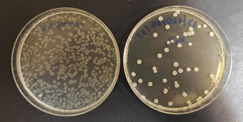 Изображение на обложке