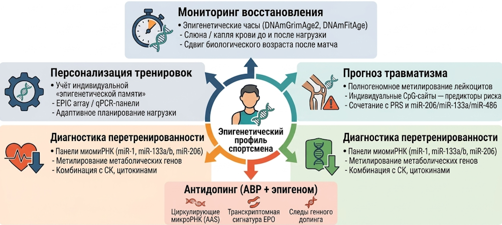 Изображение на обложке